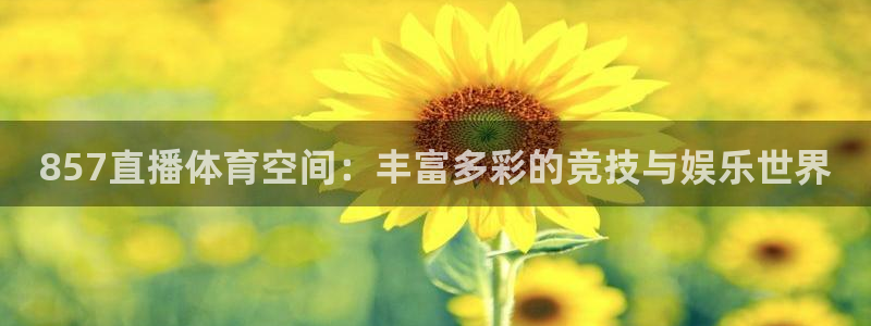 857直播体育空间：丰富多彩的竞技与娱乐世界