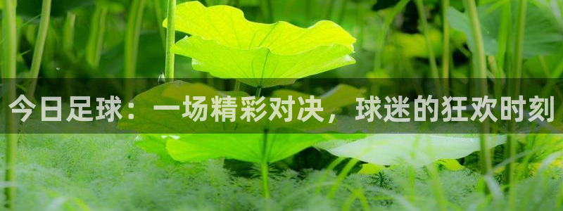 今日足球：一场精彩对决，球迷的狂欢时刻